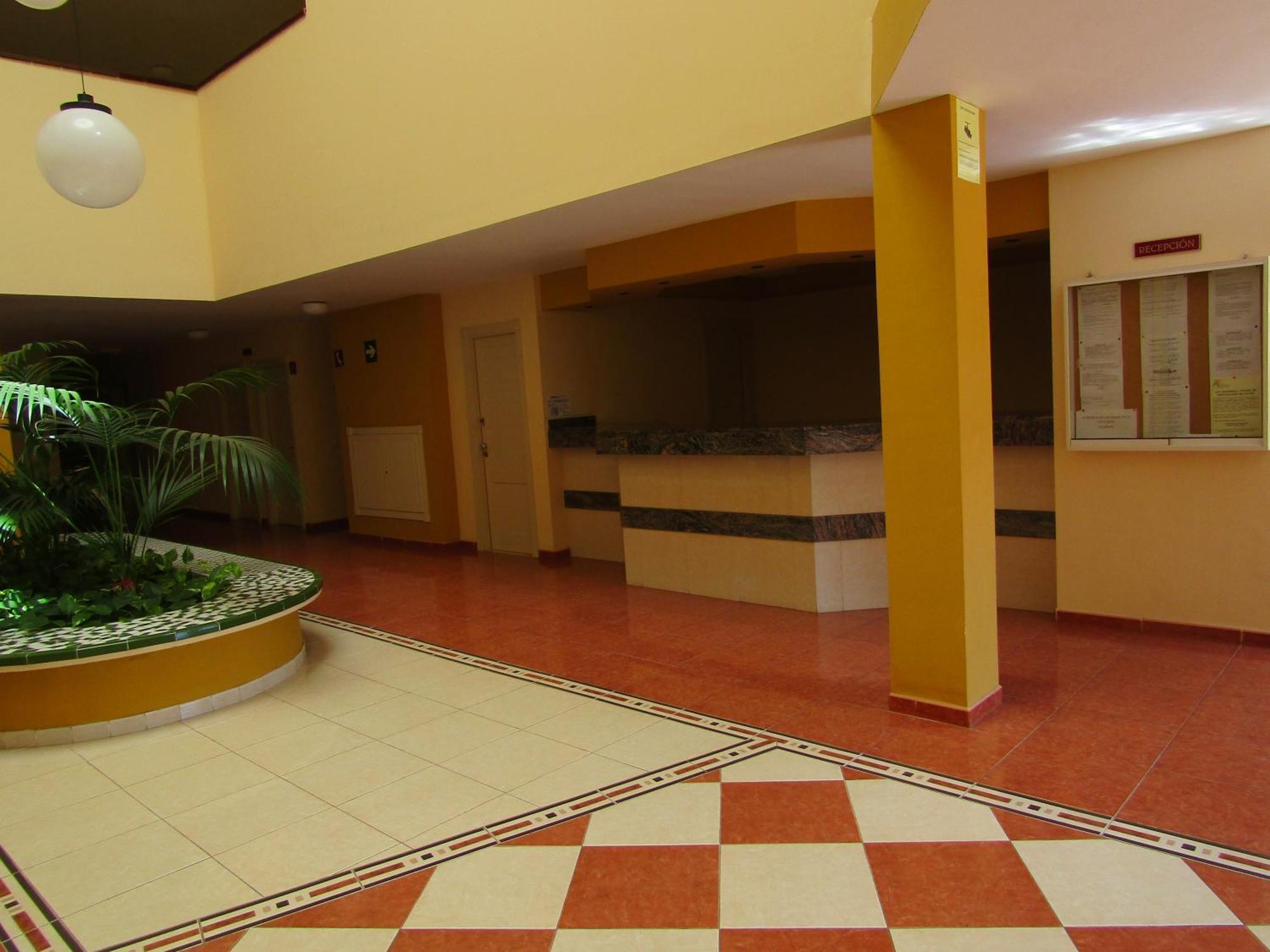Apartament Olivia Sunset Playa Puerto de Santiago  Zewnętrze zdjęcie