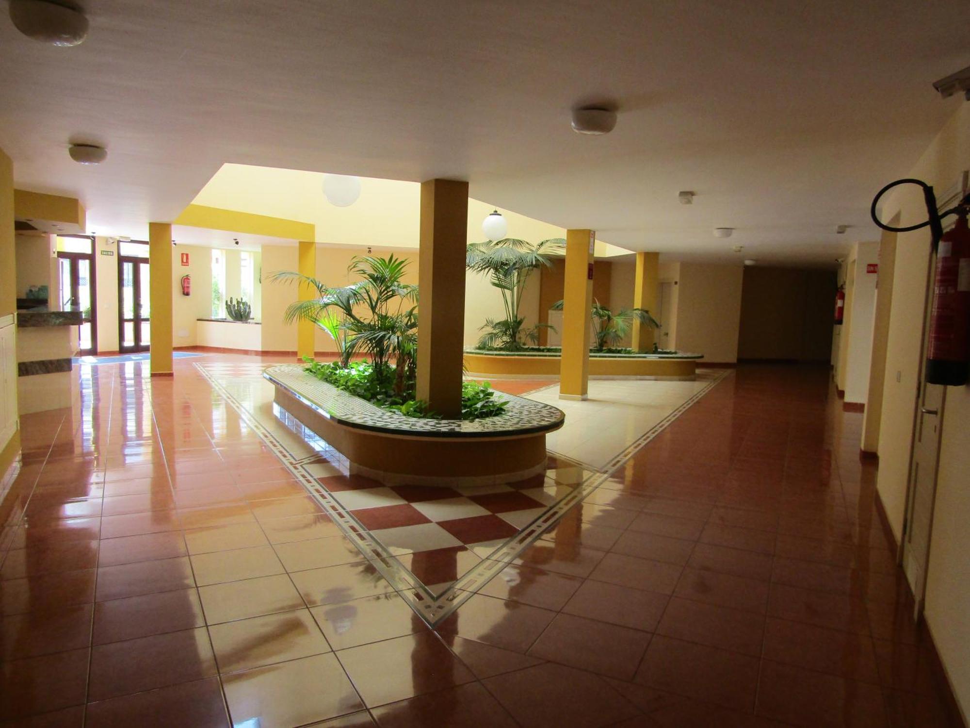 Apartament Olivia Sunset Playa Puerto de Santiago  Zewnętrze zdjęcie