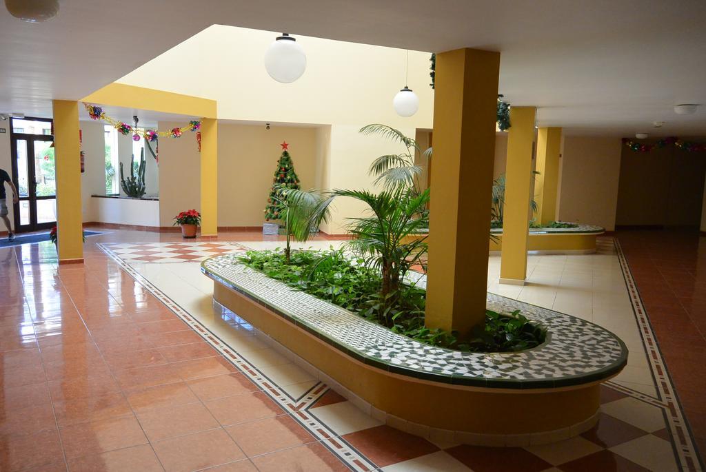 Apartament Olivia Sunset Playa Puerto de Santiago  Zewnętrze zdjęcie